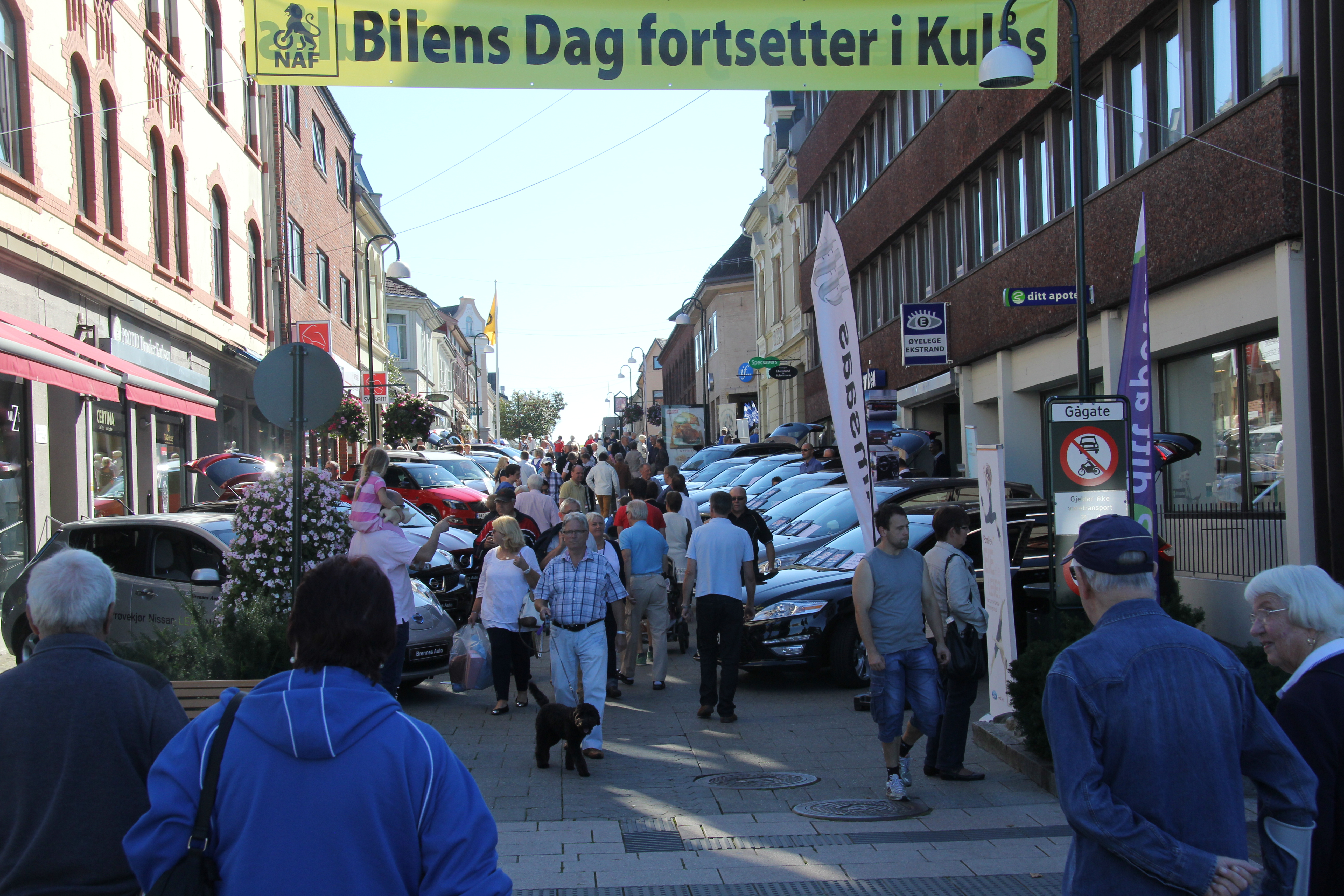 Bilens Dag