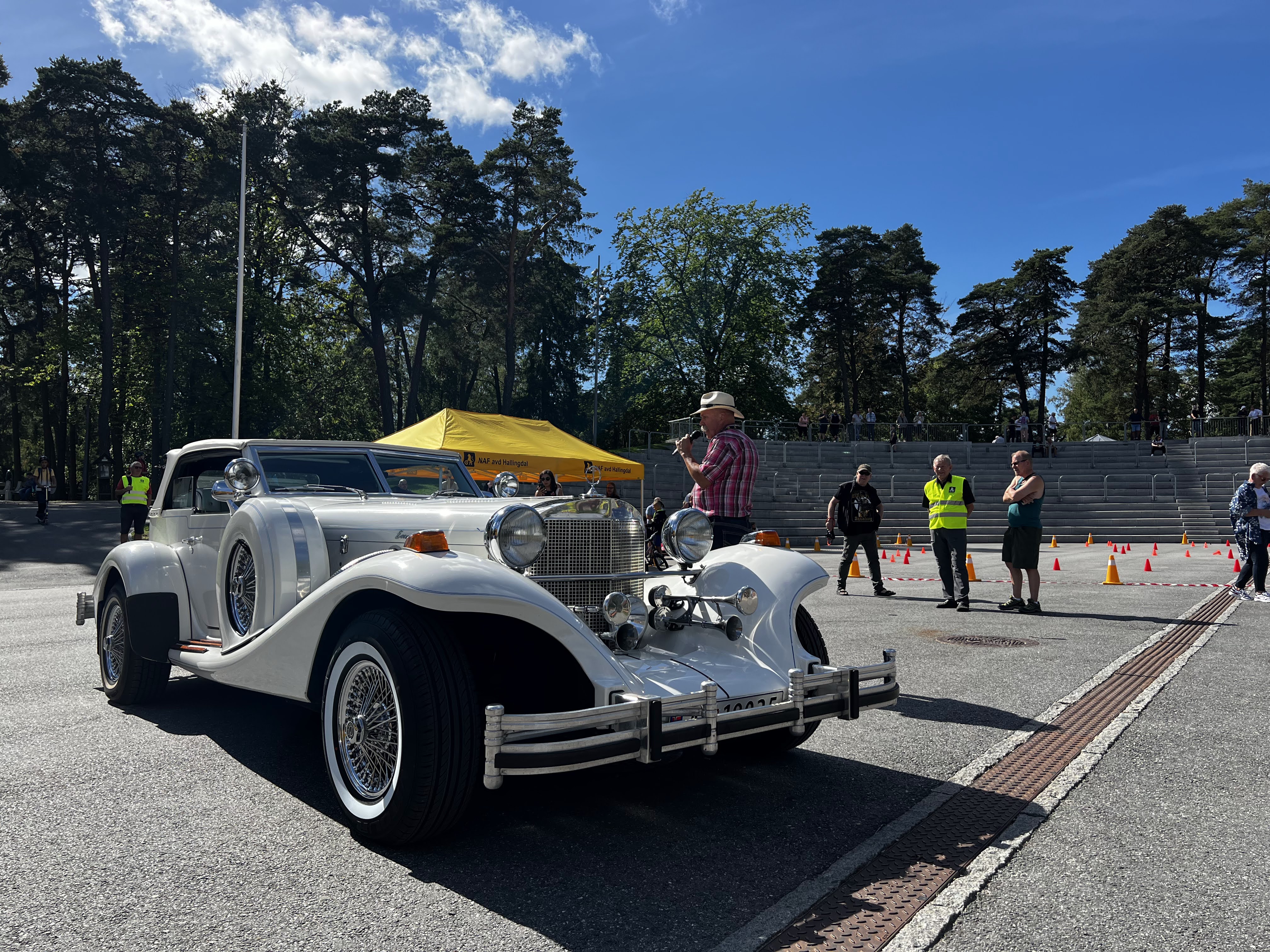 Bilens Dag