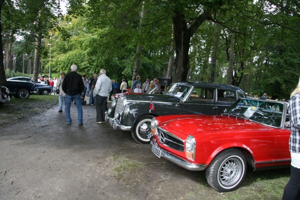 Bilens Dag 2010