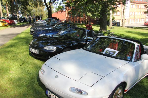 Bilens Dag 2012