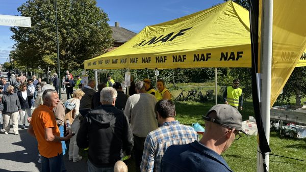 Bilens Dag 2025