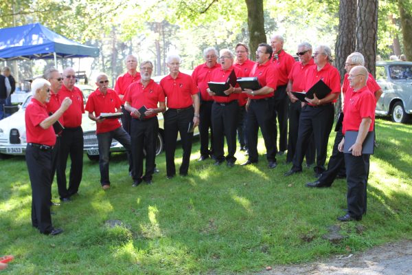 Bilens Dag 2012 – bilde 29