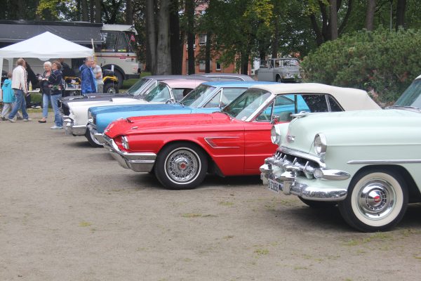 Bilens Dag 2013 – bilde 61